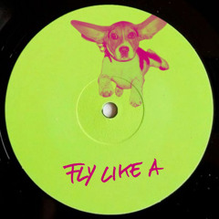 LL MSN - Fly Like A (Rmx Clandestino)