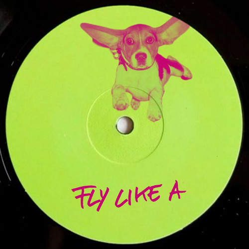 LL MSN - Fly Like A (Rmx Clandestino)