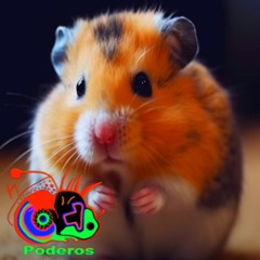 Hampsters (Video Link In Description)