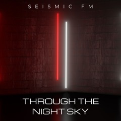 Through the Night Sky