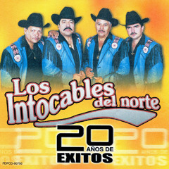 Caballo De Patas Blanca