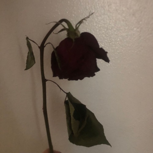 4. buddha js laced my shi