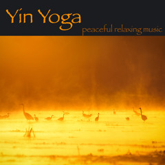 Yin Yoga