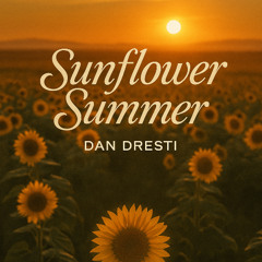 Sunflower Summer (Instrumental mashup) – Dan Dresti