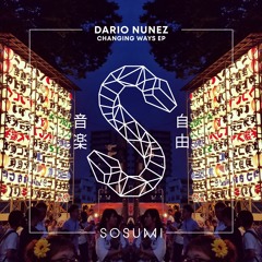 Dario Nunez - Changing Ways [FREE DOWNLOAD]
