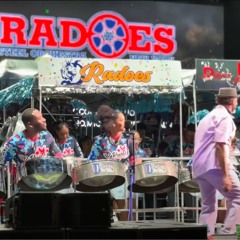 D'Radoes Steel Orchestra_Jametown_2025 NY_PANORAMA