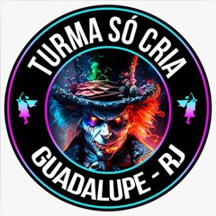 MEDLEY - TRILOGIA DA TURMA SÓ CRIA GUADALUPE🎭 (PROD DJ BRUNINHO )