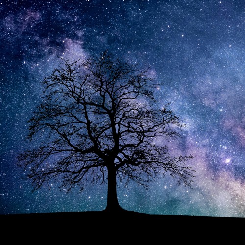 Fantasy Night