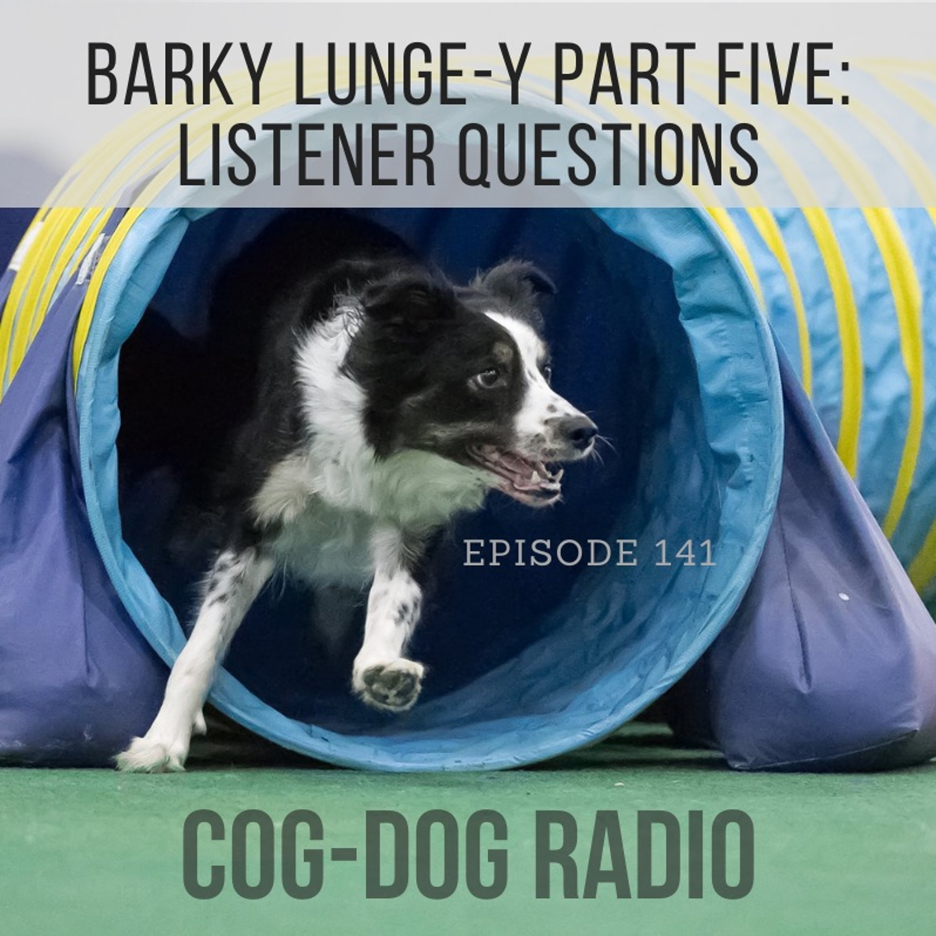 Barky Lunge-y Part Five: Listener Questions