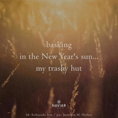 haiku #521: Basking / in the New Year's sun... / my trashy hut