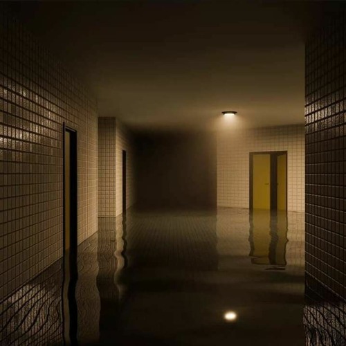 I LIKE MY BITCHES SO