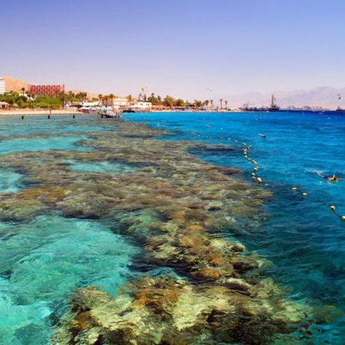 ArrangementsfastbeatsArrangemnet tiktok song DOWNLOAD