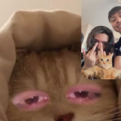 PLUH MAKETA YONIWEST YOUNGLUNV.wav