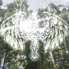 STEPRIXNVRA ARCHIVE 01