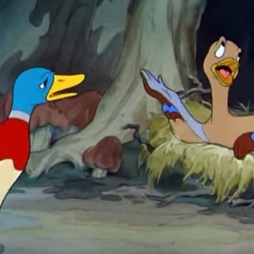 Bird Walk (How do I self-quarantine?)