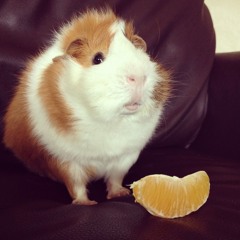 LA - goth girl [INSTRUMENTAL]