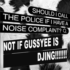 GUSSYEE @ NOISE COMPLAINT (NYE 2026)