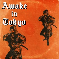 Awake In Tokyo