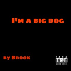 Brook - Im a big dog(prod by brook)