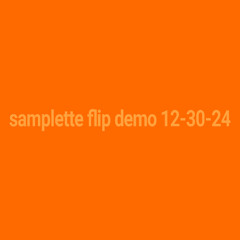 samplette flip demo 12-30-24