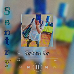 Sentry - Gotta Go.mp3