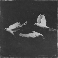 vermissen (prod. onice x prodbyswisher)