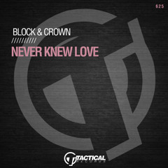 Never Knew Love (2022 MIX)
