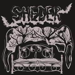 SHEDER - WYŚPIĘ SIĘ TAK JAK SOBIE POŚCIELĘ (prod. BEATSBYSAV)
