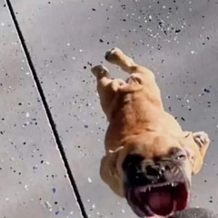 YOUNG POSSE 'ATE THAT' (영파씨 ATE THAT 가사).mp3