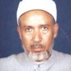 المقاومة الاسلامية فى العراق