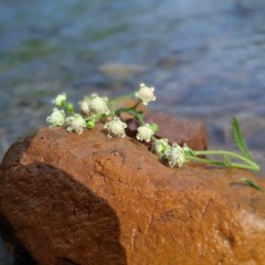 Hurts Mashup 2 of Darshan Raval 2021 BICKY OFFICIAL & NARESH PARMAR Heartbreak Chillout.