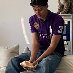pashanim japan trikot