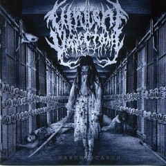 VIRULENT VASECTOMY : Harum Scarum (Full Official Album - 2021)