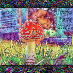 Mushroom from the Graveyard