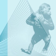 Adam Roofy - Shake That Ass (Original Mix)