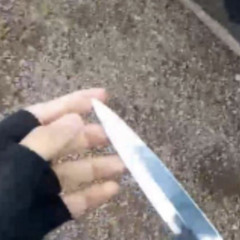 располовиним