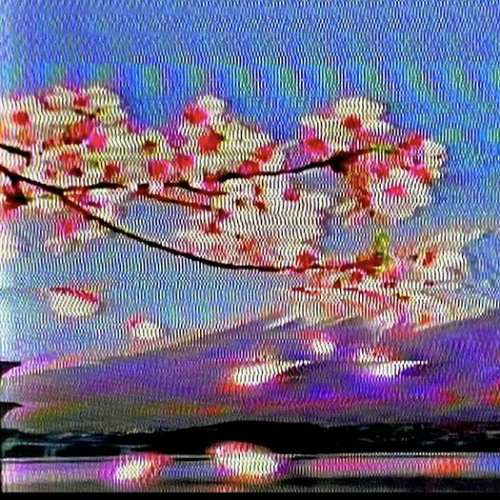 go in (interlude)‎‎ ‎ ‎ ‎ ‎ ‎ ‎ ‎ ‎ ‎ 𝚙𝚛𝚘𝚍 𝚖𝚊𝚢𝚞𝚗 + 𝚌𝚘𝚟𝚜