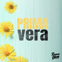 DJ Ramon Silva - Mix Primavera 2025