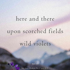 here and there (Naviarhaiku 582)