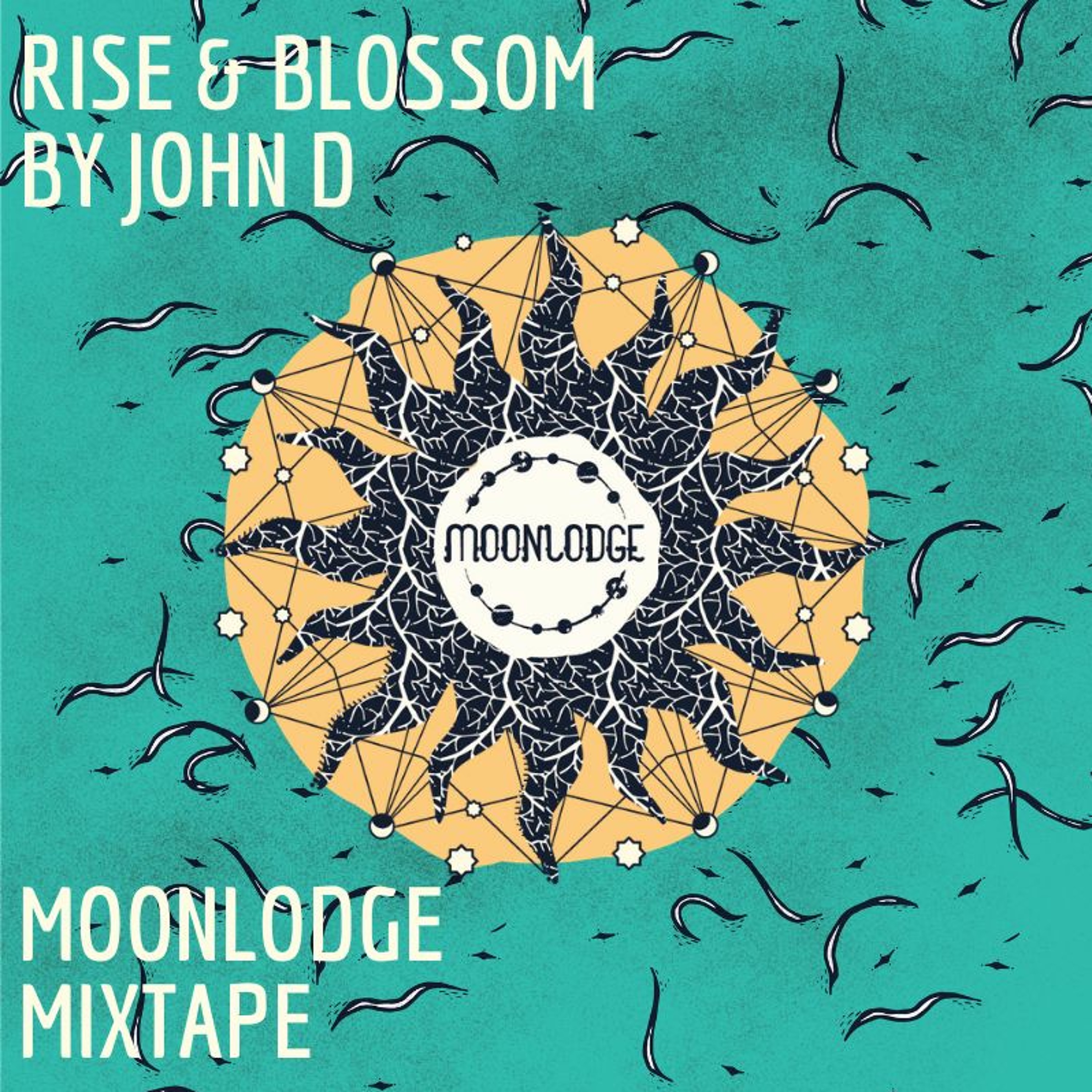 John D | MoonLodge