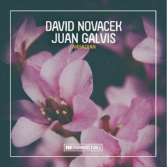 David Novacek & Juan Galvis - Akkadian