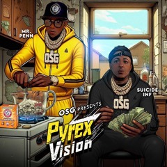 01 Pyrex Vision