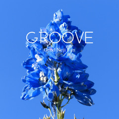 Groove