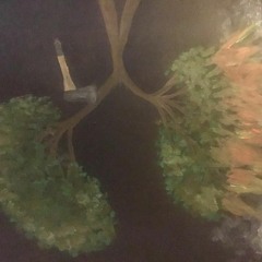 KLIMAATRUZIE- Wij willen consumeren