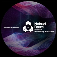 PREMIERE: Nahuel Barral - Vibes (Shimammo Remix)