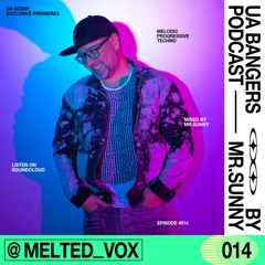 Українські бенгери by Mr. Sunny #014