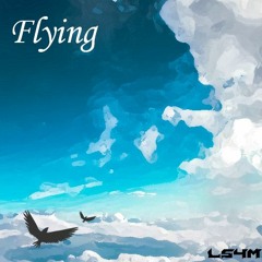 LS4M - Flying