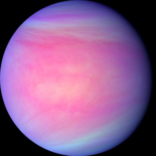 Venus