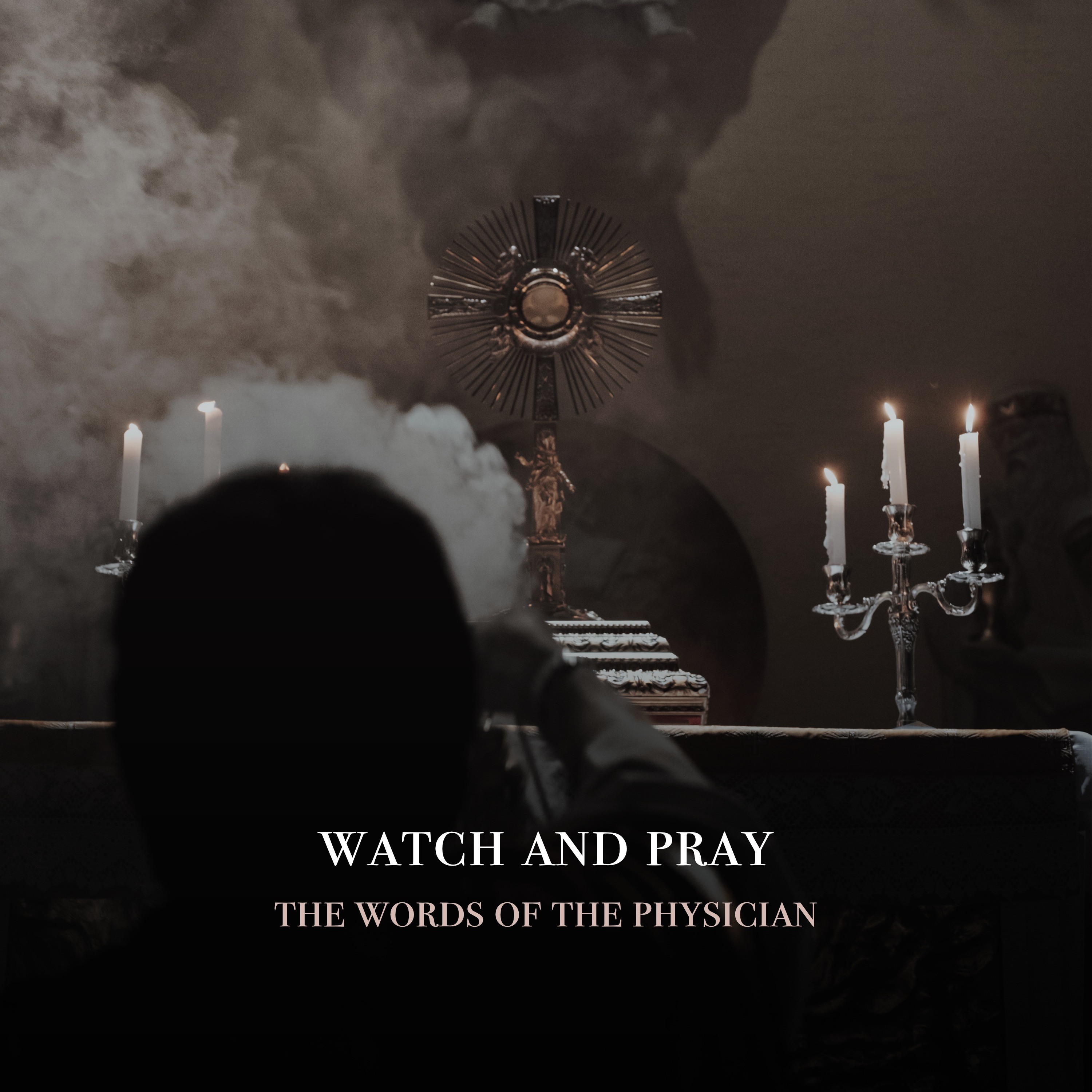 Fr. Barry Braum - Homilies and Conferences