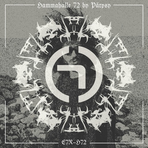 HAMMAHALLE 72 By Pärpsy